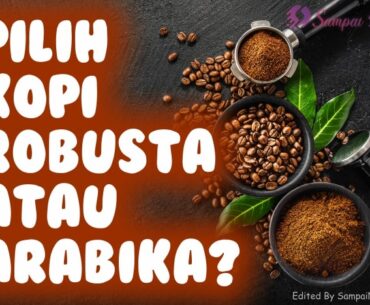 Pilih Kopi Robusta Atau Arabika? Ini Penjelasannya! Kopi Robusta Dan Arabika